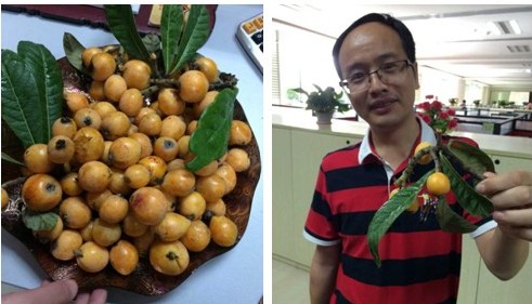 柔性线路板厂带您一起采摘初夏的果实