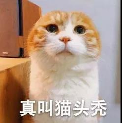 FPC之提醒！深圳一市民突遭雷击，雷雨天气该如何防御？