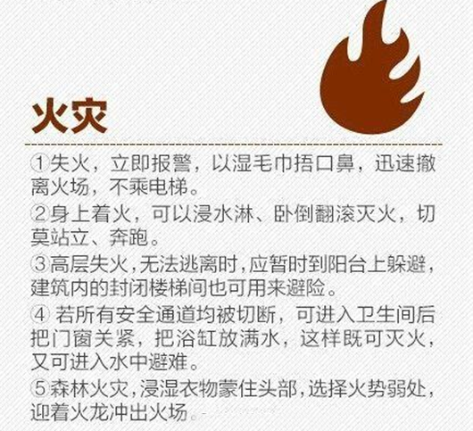 FPC厂家