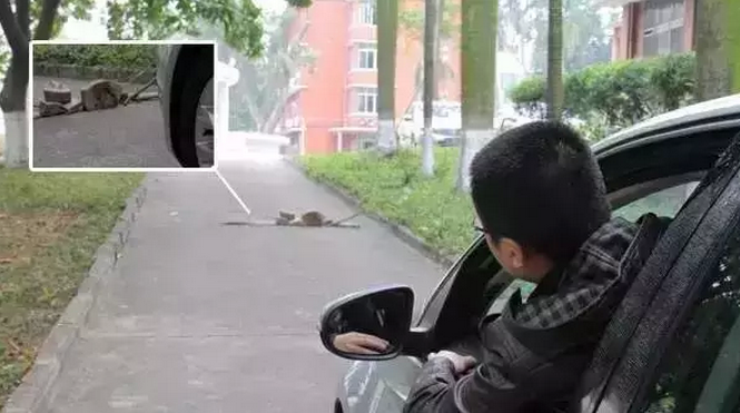 FPC软板厂